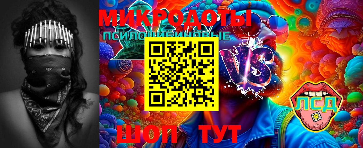 Псилоцибиновые грибы прущие грибы Ипатово