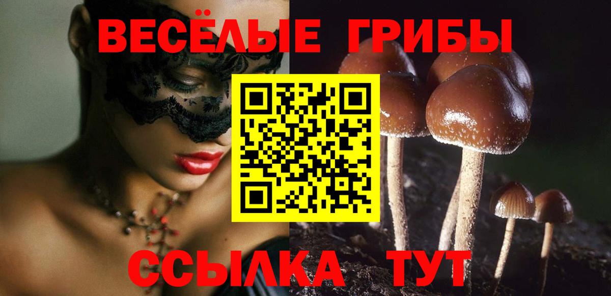Ипатово  Псилоцибиновые грибы Magic Shrooms  Вход с VPN  Псилоцибиновые грибы Psilocybine cubensis 